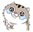 Ami năn nỉ :Aminanni: :Aminanni: