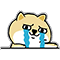 :chokhoc: