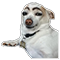 :cho2:
